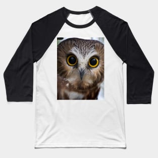 Northern Saw Whet Owl Portrait Baseball T-Shirt